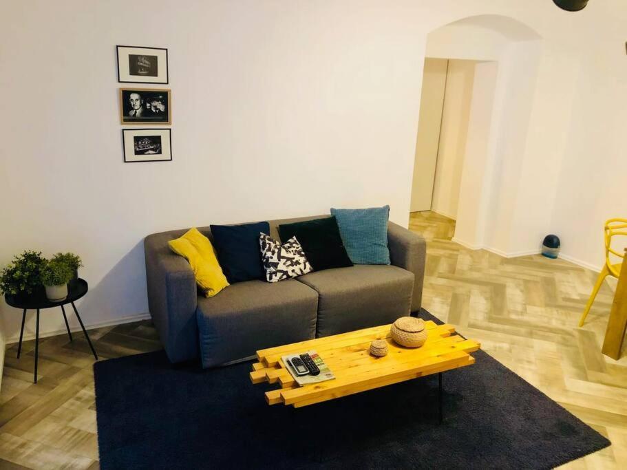 Joy City Stay Libertatii 9Mai 7 Temešvár Exteriér fotografie